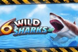 Slot 6 Wild Sharks