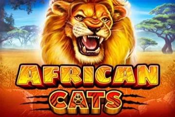 Slot African Cats