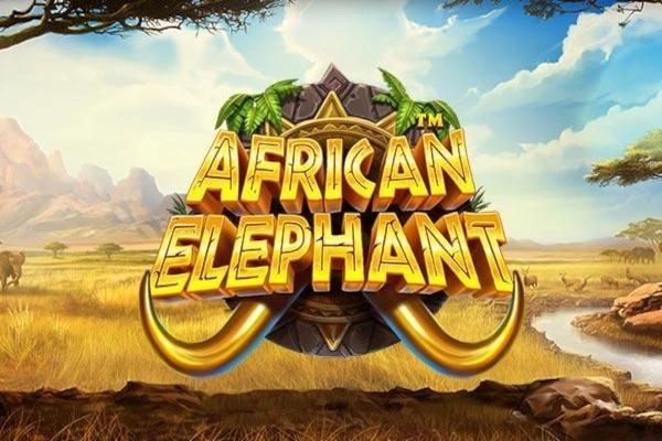 Slot African Elephant