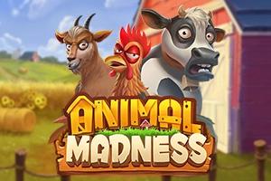 Slot Animal Madness
