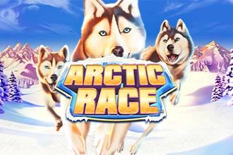 Slot Arctic Race