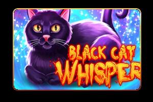 Slot Black Cat Whisper