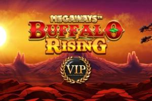 Slot Buffalo Rising All Action Megaways