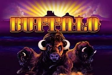 Slot Buffalo