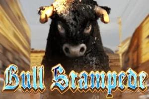 Slot Bull Stampede