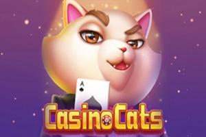 Slot Casino Cats