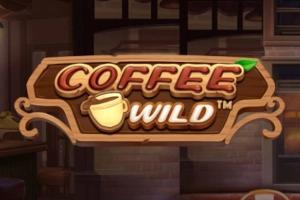 Slot Coffee Wild-2