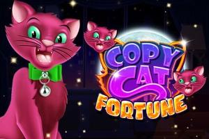 Slot Copy Cat Fortune