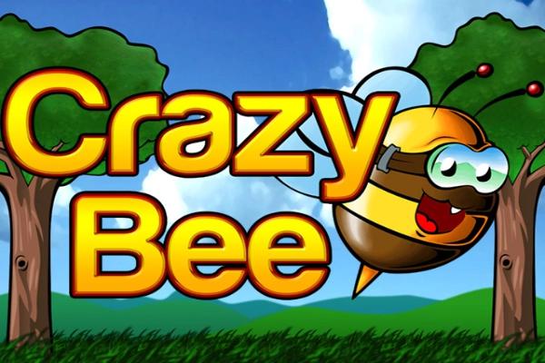 Slot Crazy Bee
