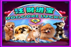 Slot Doggone Lucky!