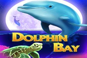 Slot Dolphin Bay