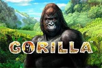 Slot Gorilla