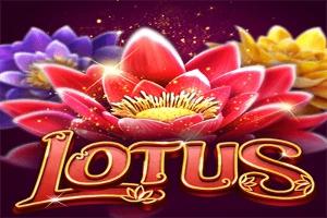 Slot Lotus