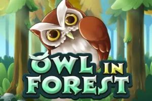 Slot Owl in Forest