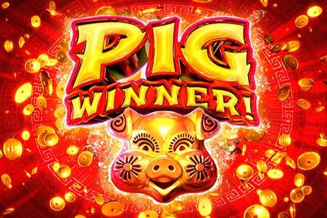 Slot Pig Winner