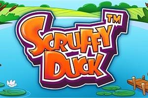 Slot Scruffy Duck