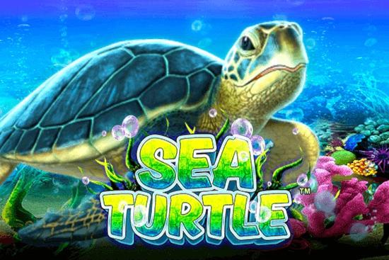Slot Sea Turtle