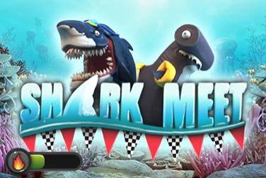 Slot Shark Meet