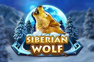 Slot Siberian Wolf