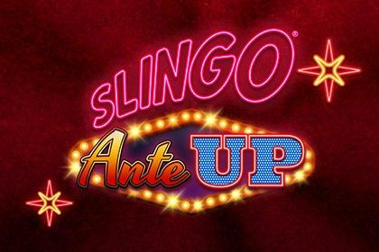 Slot Slingo Ante Up
