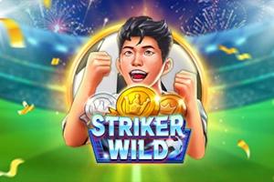 Slot Striker Wild