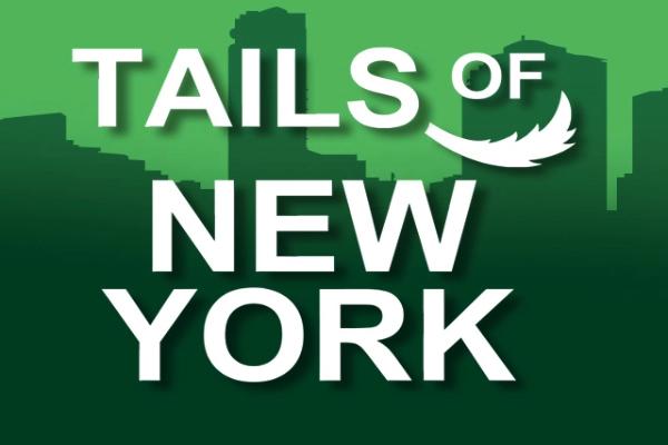 Slot Tails Of New York