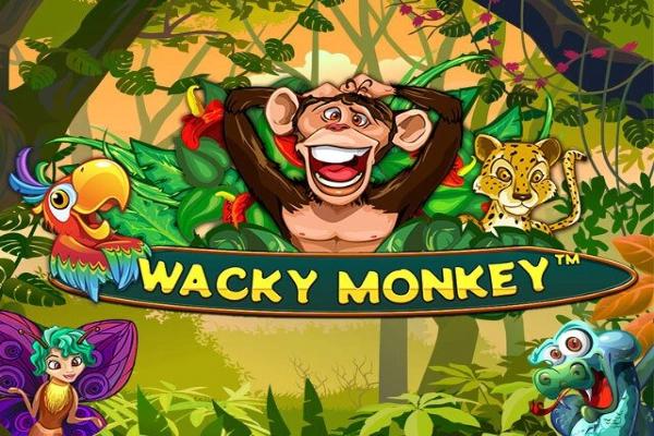 Slot Wacky Monkey