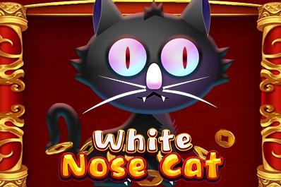 Slot White Nose Cat