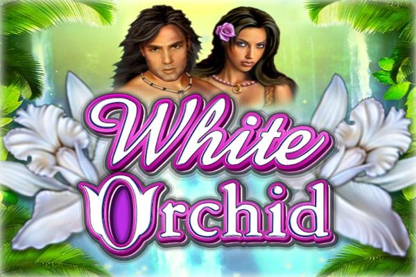 Slot White Orchid