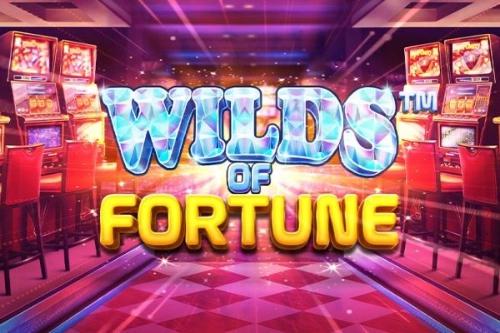 Slot Wilds of Fortune