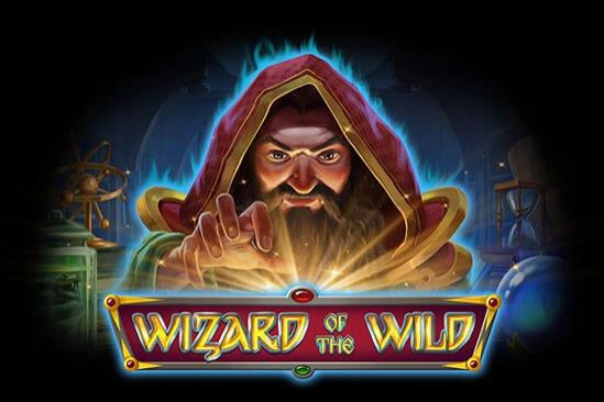 Slot Wizard of the Wild